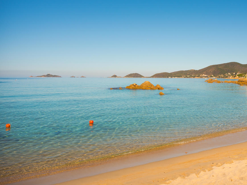 Tartare de Thon Frais